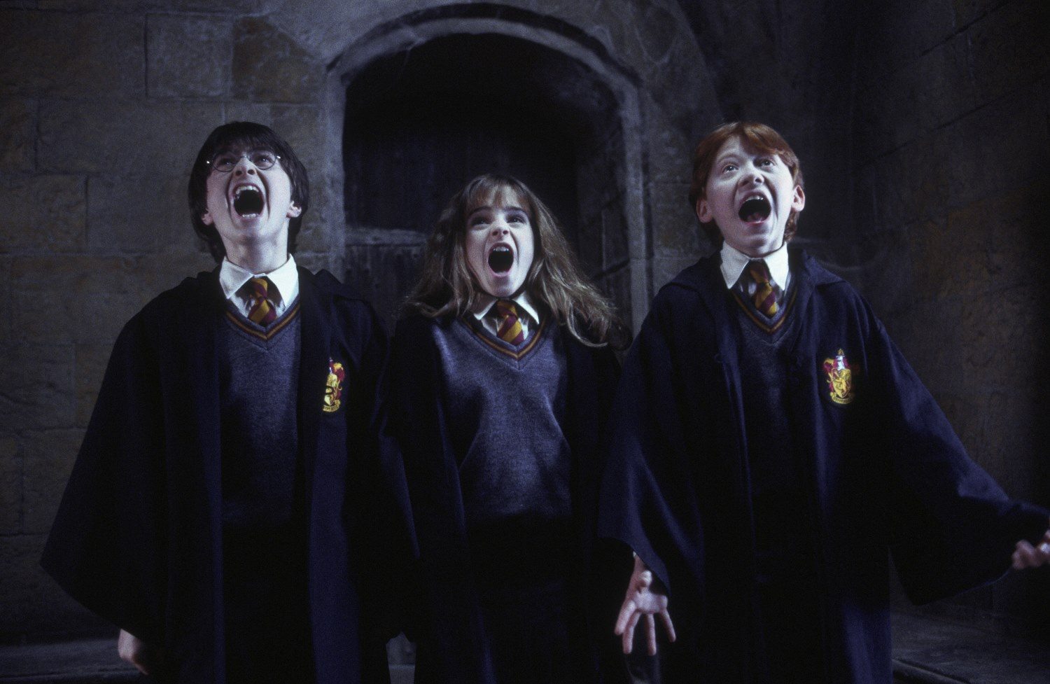 Cineconcerto Harry Potter E La Pietra Filosofale Zero