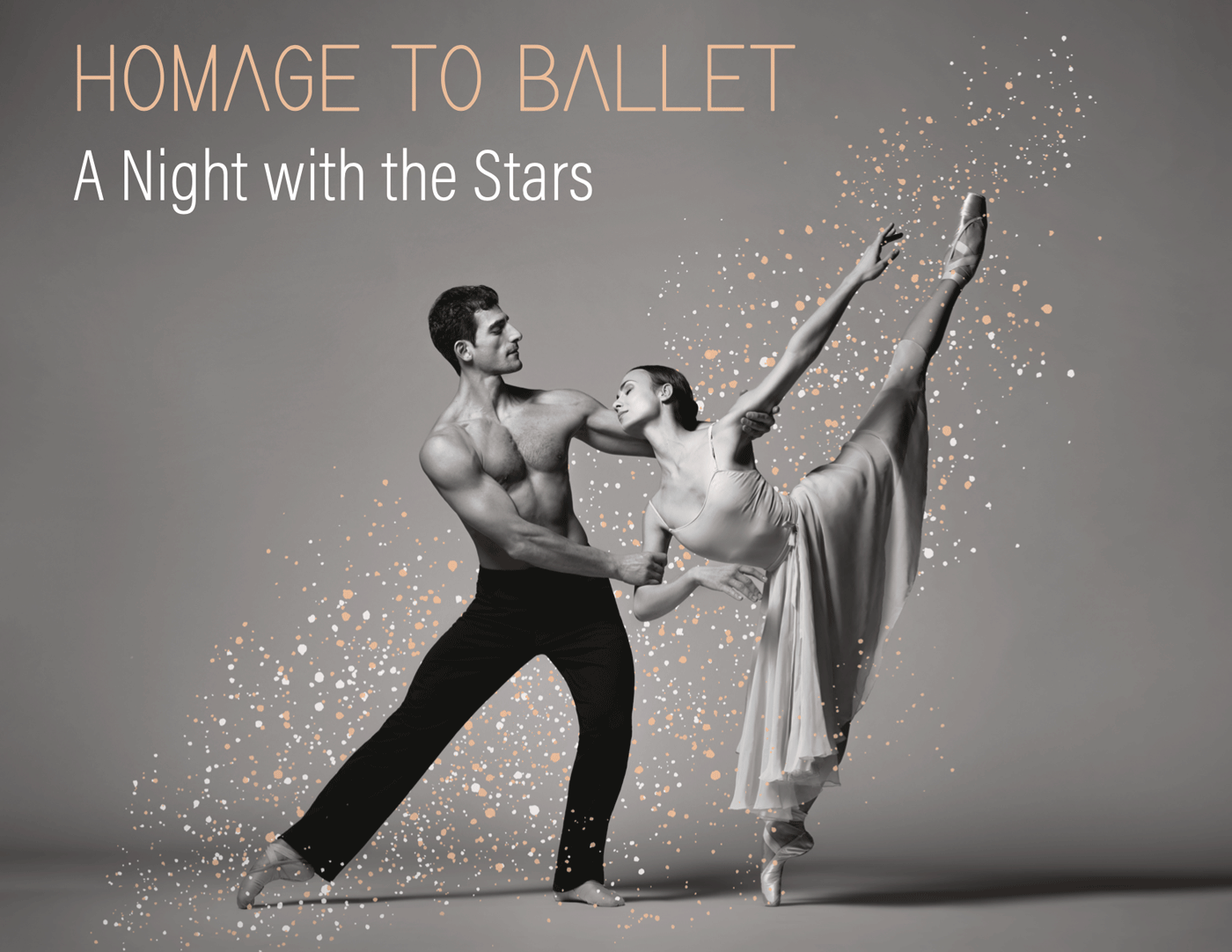 Homage to Ballet A Night with the Stars Zero